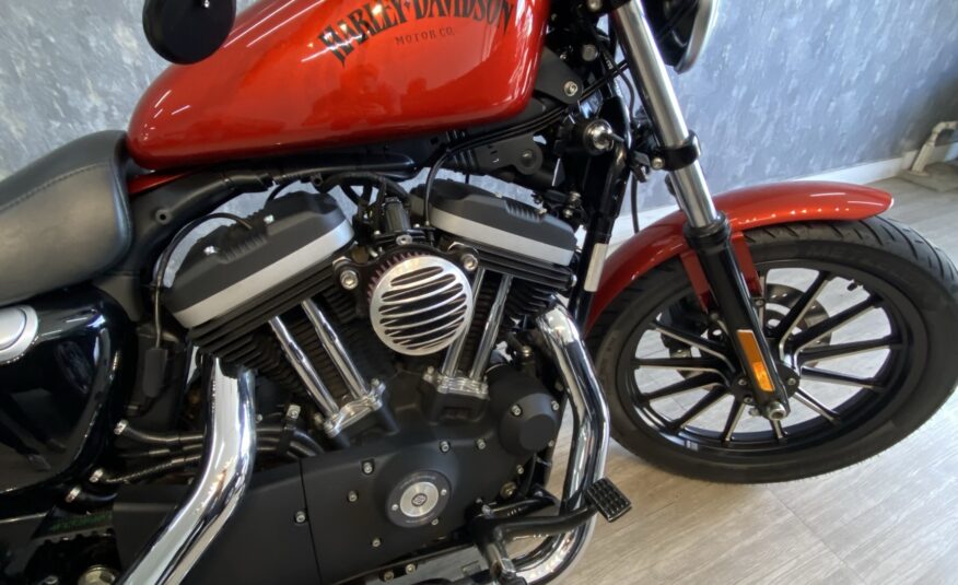 Harley Iron 883